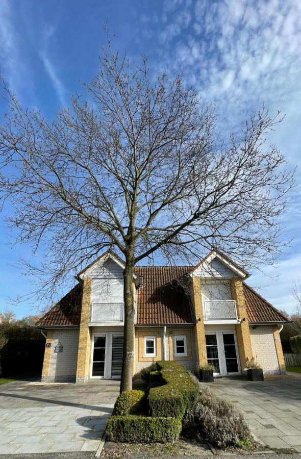 Vakantiehuis Met Luxe Tuin Dichtbij Het Strand Kamperland Εξωτερικό φωτογραφία
